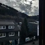 Linnenkerlstube 3* Willingen (Upland)